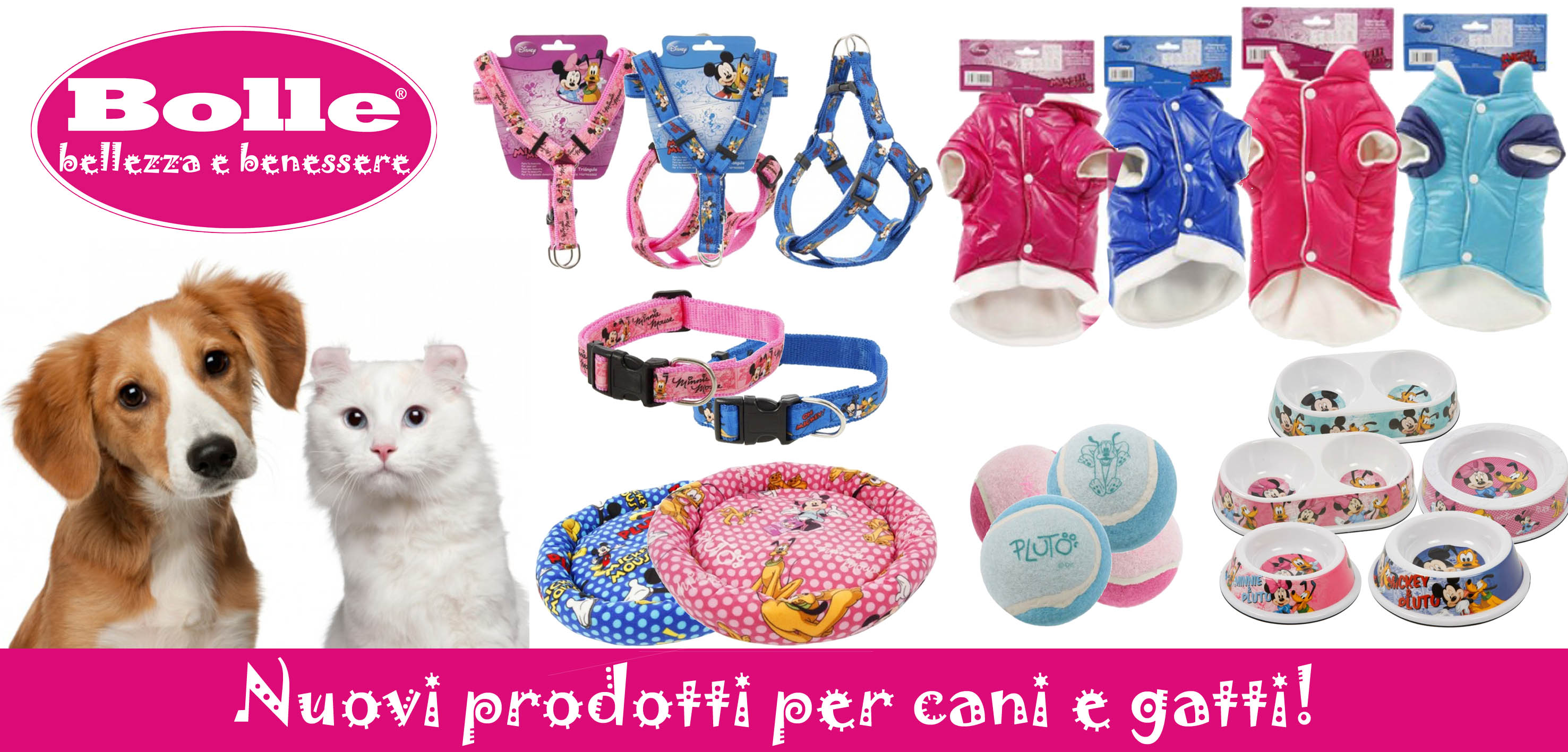 Gadget per
                                                  animali